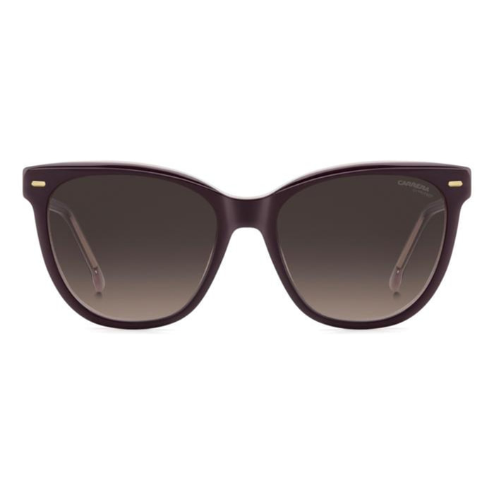 Gafas de Sol Carrera 3043/S 0T7 de Acetato Mujer 56 mm