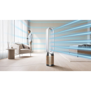 Purificateur ventilateur Dyson Cool PC2 De-NOx TP12