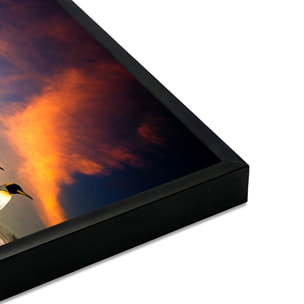 Affiche encadrée manchots paysage naturel Affiche + cadre en métal - Noir