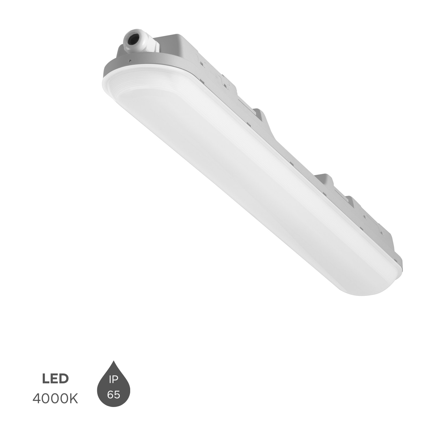 FORLIGHT Forlight - Plafón LED Exterior IP65 17.5W, Luz Blanca Neutra 4000K, Resistente al Agua y Golpes, Fácil Instalación, 560mm, Ideal para Garajes y Porches