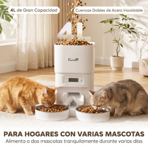 Comedero Gato Automático 4L, Dispensador Comida para Gatos/Perros con 1-6 Comidas al Día, 2 Cuencos de Acero Inoxidable, Antiatascos, 2 Fuentes de Alimentación, Fácil de Limpiar, Blanco