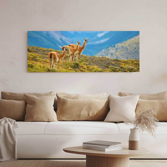Tableau panoramique lamas andins paysage de montagne nature Toile imprimée
