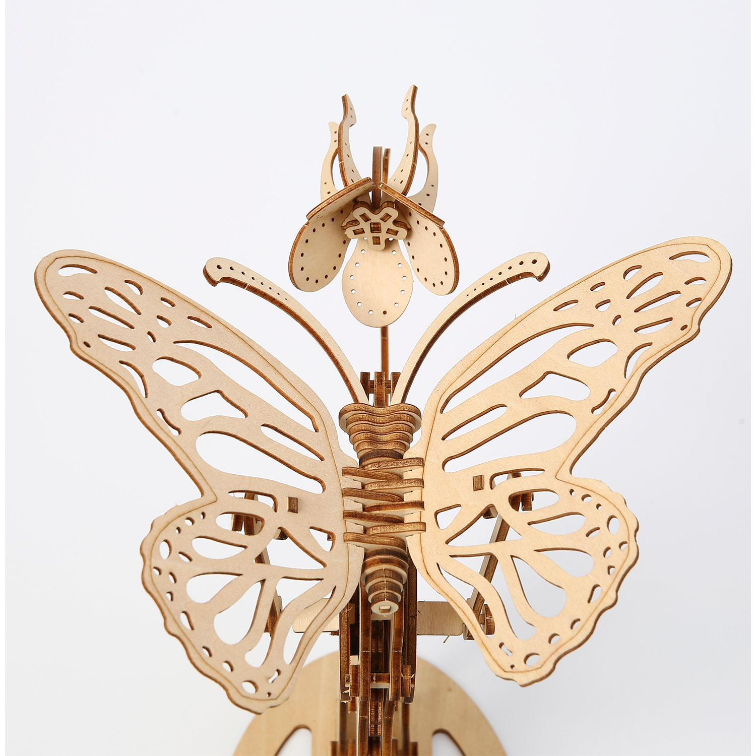 Modello in Legno 3D, design della Farfalla con movimento meccanico. 138 pezzi.