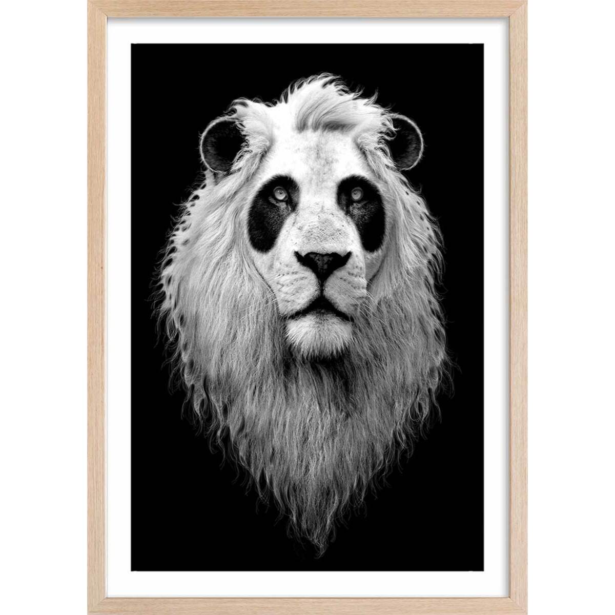 Affiche enfant le pandalion  Affiche sous cadre bois