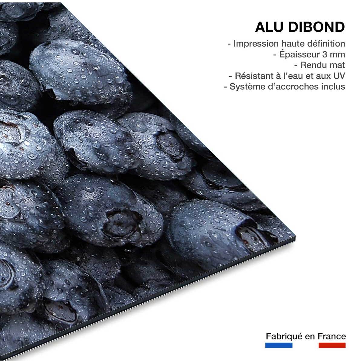 Tableau fruit cure de cassis  Tableau alu Dibond