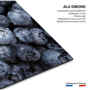 Tableau fruit cure de cassis  Tableau alu Dibond