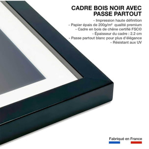 Affiche animaux flamands bleus Affiche sous cadre noir