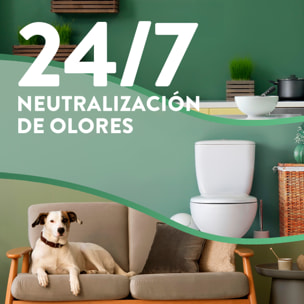 Air Wick Active Fresh Spray Automatico Sin Aerosol - Ambientador para casa con aroma a Nenuco - Aparato y recambio