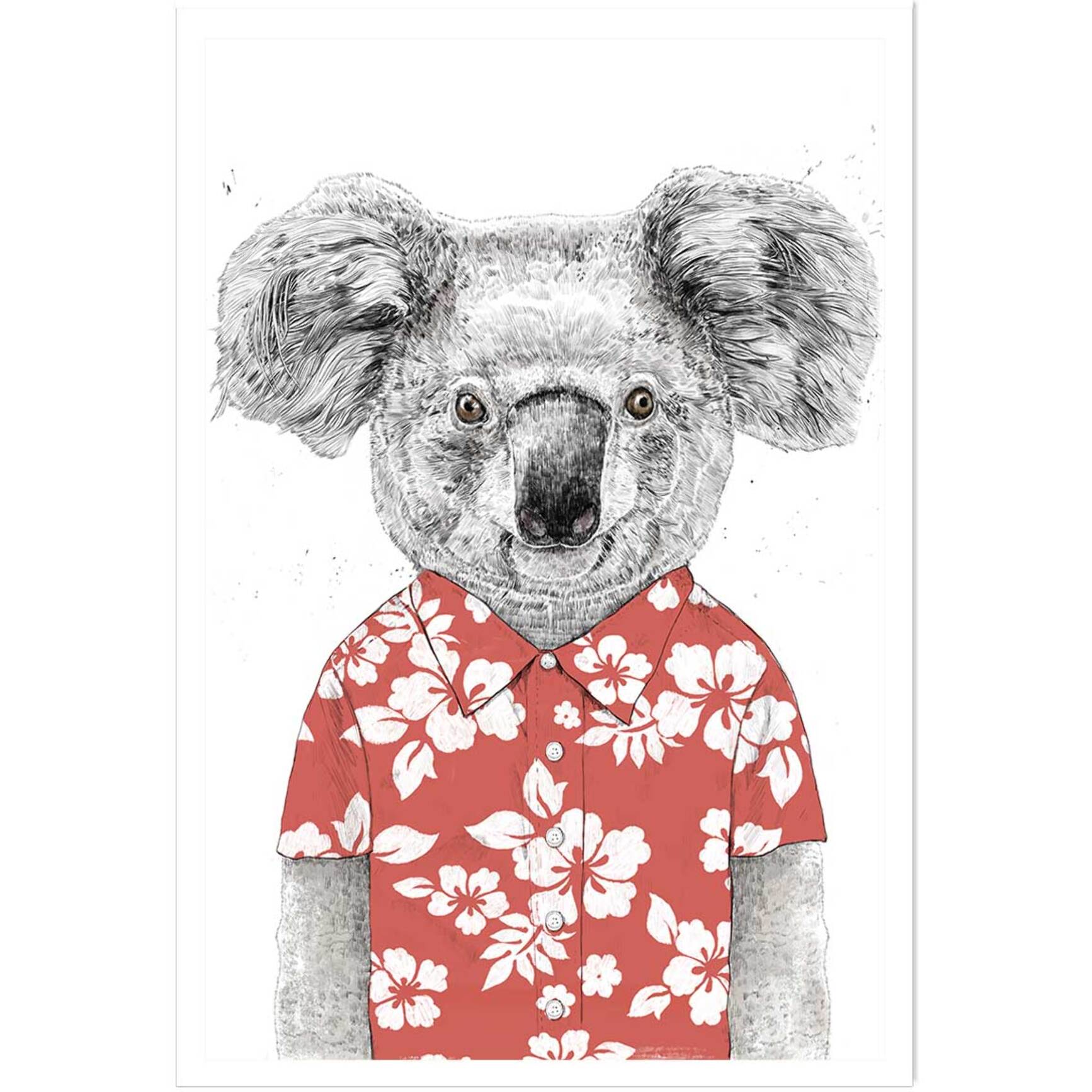 Affiche enfant koala  Affiche seule