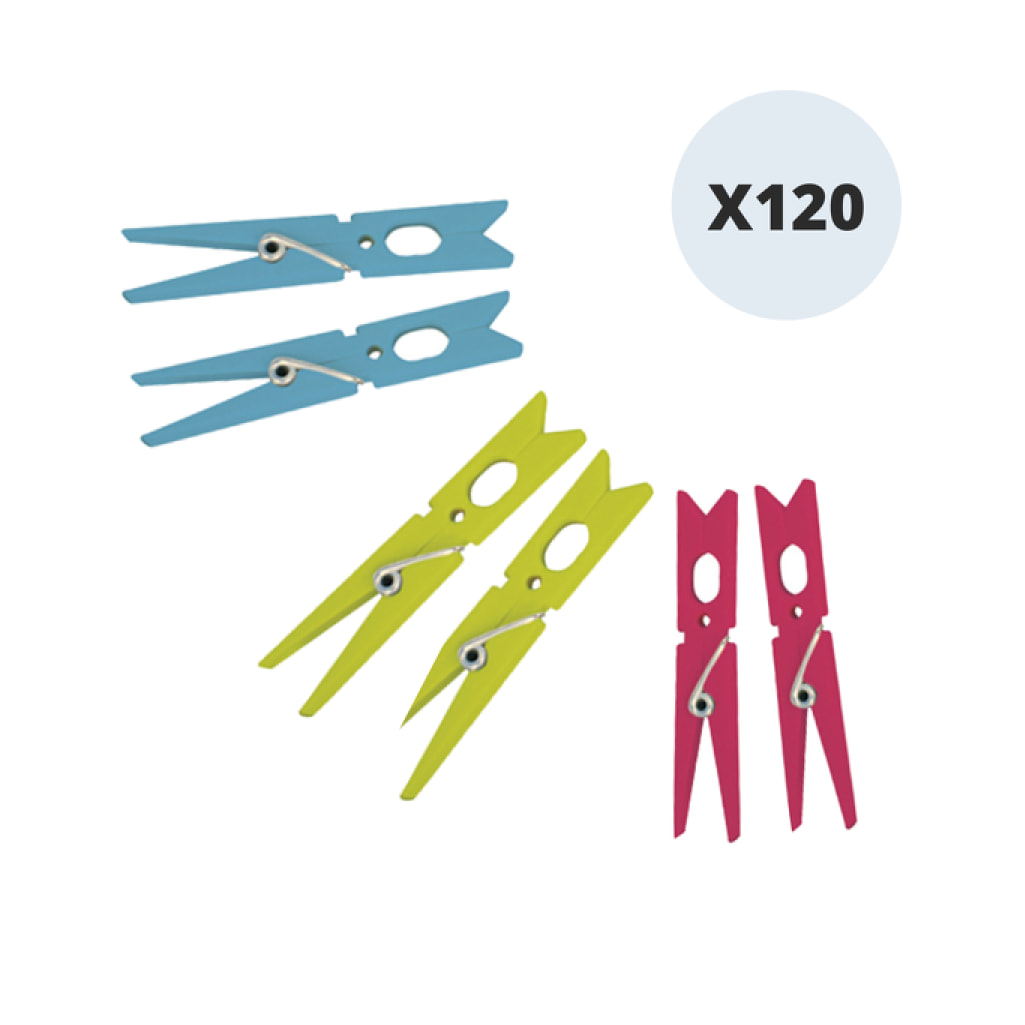Lot de 120 pinces à linge plastique MSV