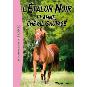 Farley, Walter | L'Étalon Noir 10 - Flamme, cheval sauvage | Livre d'occasion