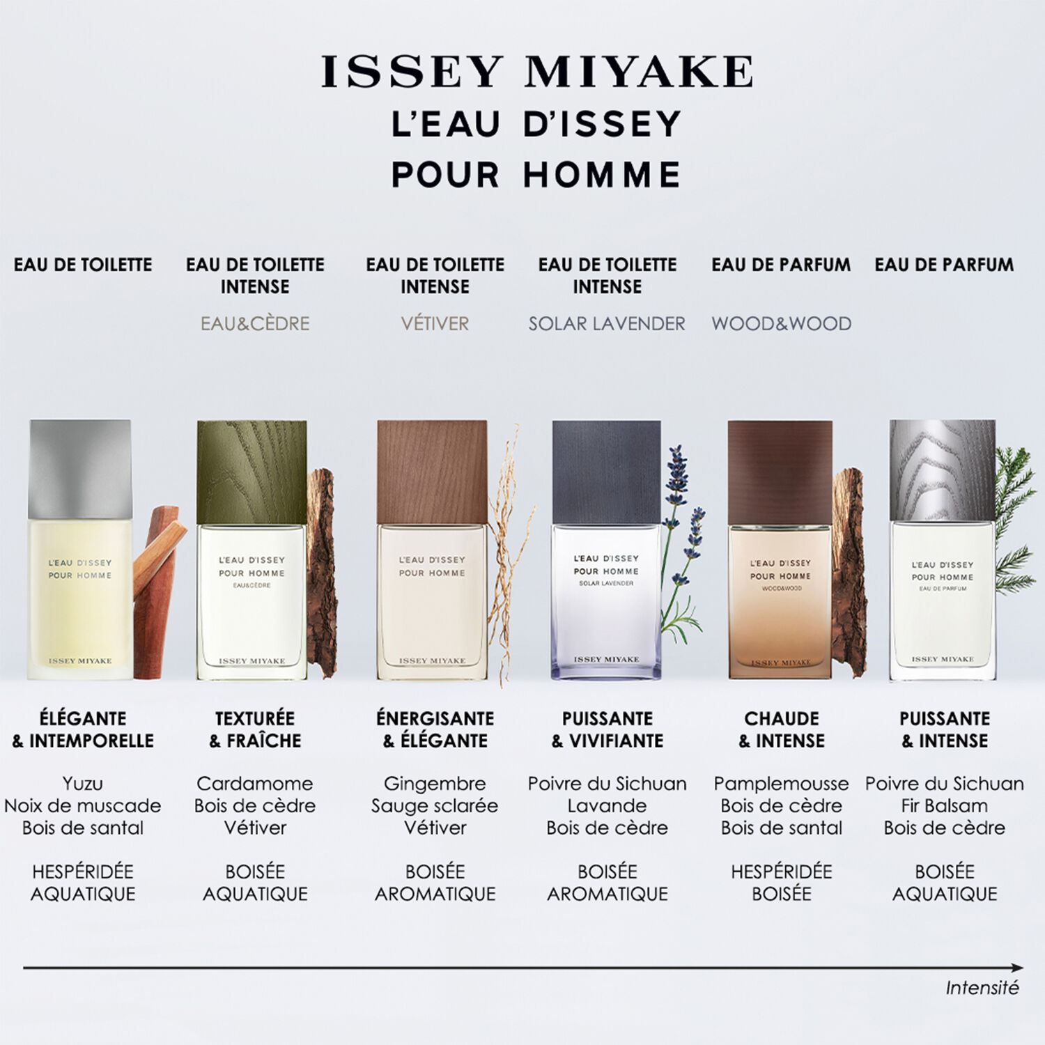 L'Eau d'Issey pour Homme  - Eau de Toilette