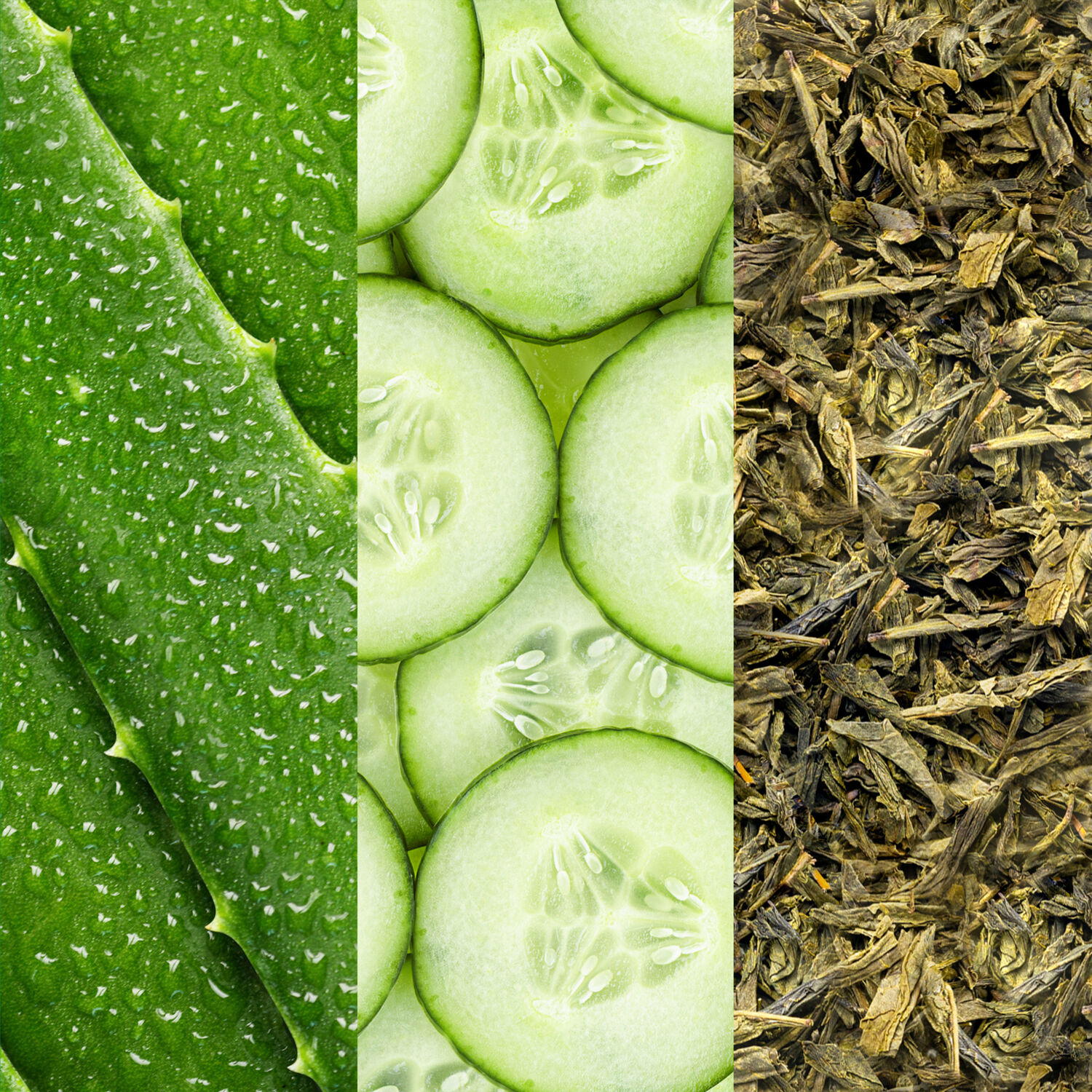 Facial Spray with Aloe, Cucumber & Green Tea - Spray visage à l'aloe vera, au concombre et au thé vert
