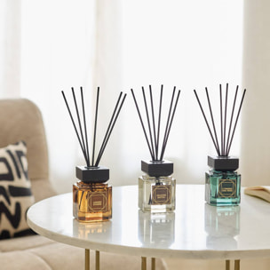 Diffuseur Leonar 100 ml