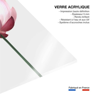 Tableau zen lotus rose  Tableau plexiglas