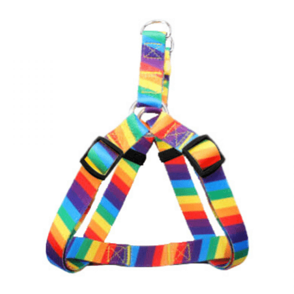 Pettorina per cani e gatti Rainbow - S 1,5X2,5 - 45cm