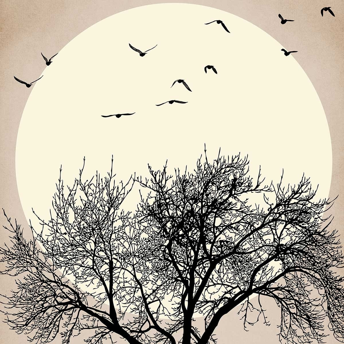 Affiche dessin ""Arbre scintillant"" Affiche + cadre en bois - Noir