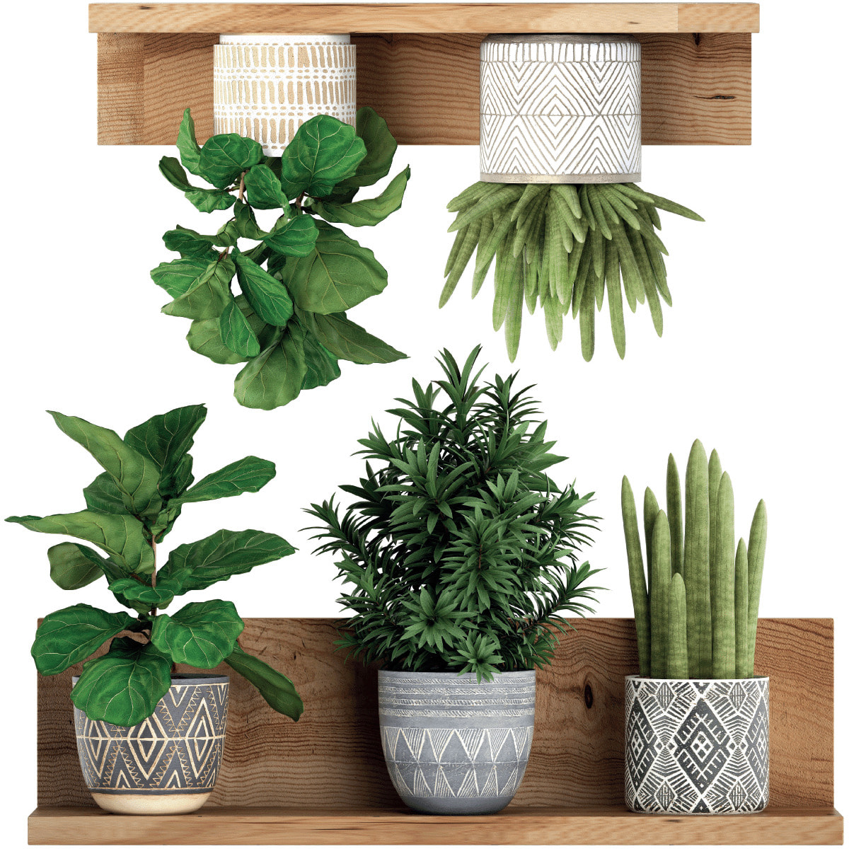 Stickers muraux 3D | Sticker Mural Autocollant effet PLANTES VERTES SUR ÉTAGÈRES - Stickers adhésifs 3D Chambre Salon Trompe l'oeil