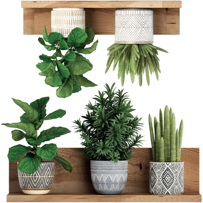 Stickers muraux 3D | Sticker Mural Autocollant effet PLANTES VERTES SUR ÉTAGÈRES - Stickers adhésifs 3D Chambre Salon Trompe l'oeil