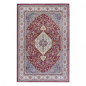 Tapis salon Rectangulaire Oriental