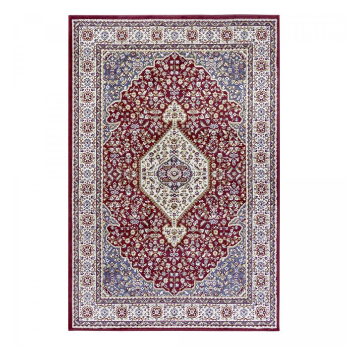 Tapis salon Rectangulaire Oriental