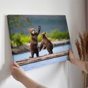 Tableau oursons bruns jouant au bord de l’eau Toile imprimée