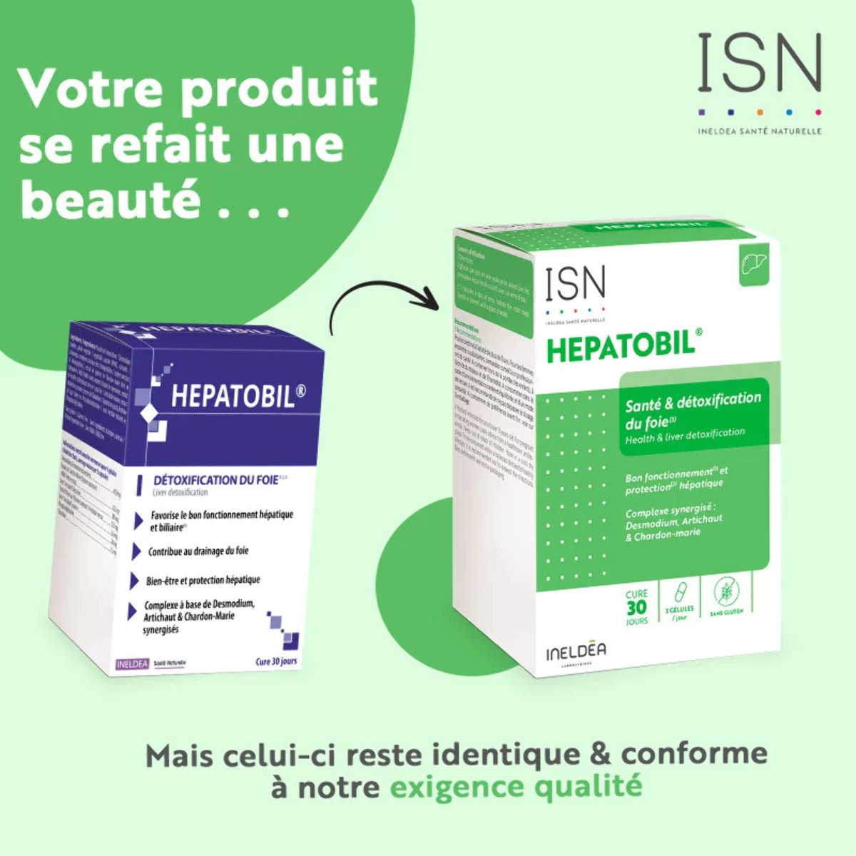 ISN - Hepatobil® - Complément alimentaire à base de plantes - Favorise la Détoxification du Foie - Contribue à Améliorer la Digestion - Cure 30 jours