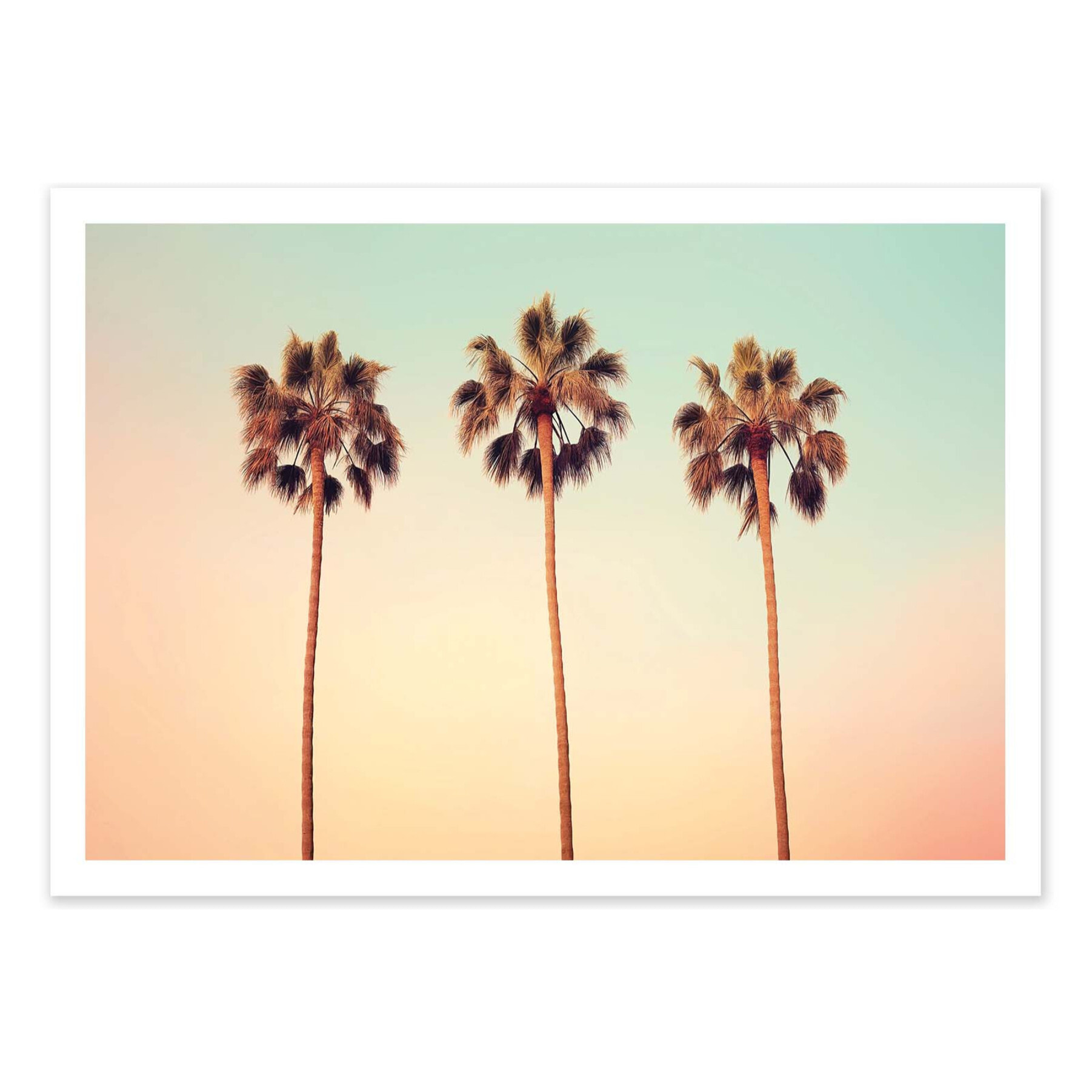 Affiche - California Hollywood Palms - Philippe Hugonnard