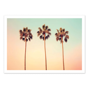Affiche - California Hollywood Palms - Philippe Hugonnard