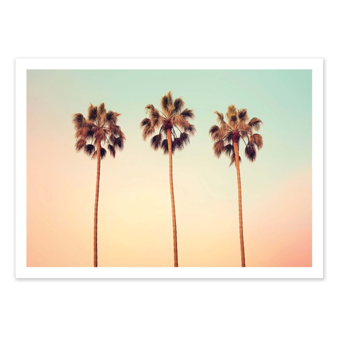 Affiche - California Hollywood Palms - Philippe Hugonnard