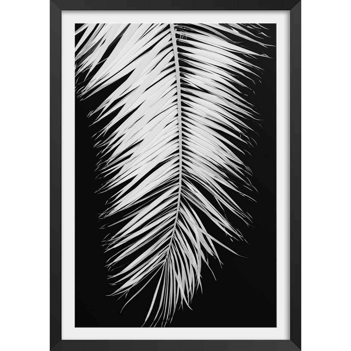 Poster palme x Affiche + cadre en bois - Noir