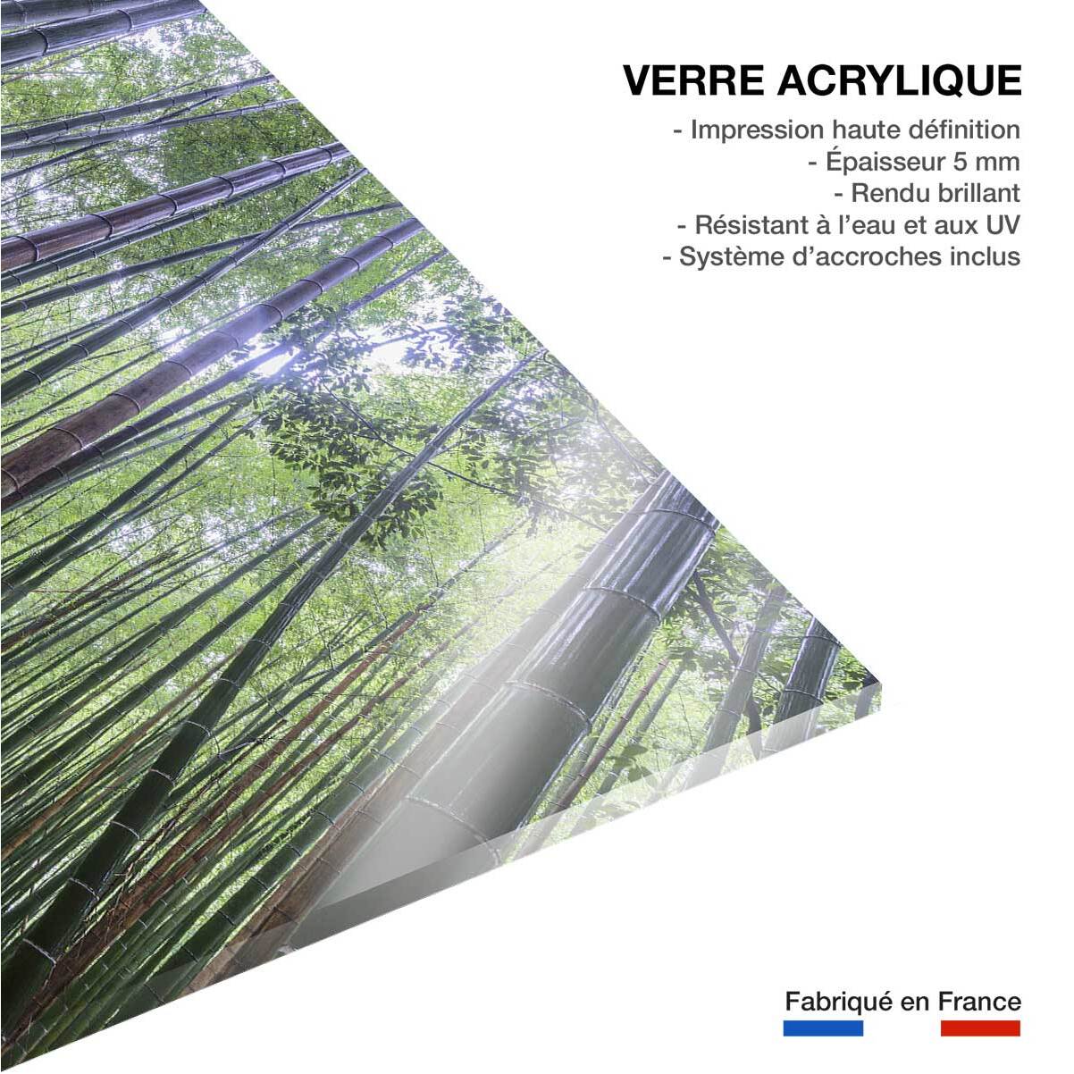 Tableau zen Bambous Geants Tableau plexiglas