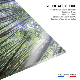 Tableau zen Bambous Geants Tableau plexiglas