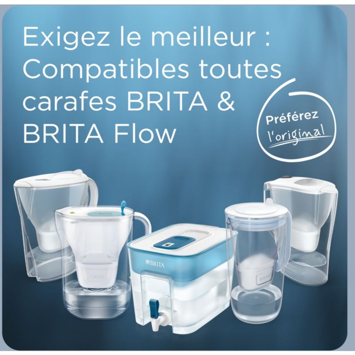 Cartouche filtrante BRITA maxtra pro expert anti tartre pack de 4