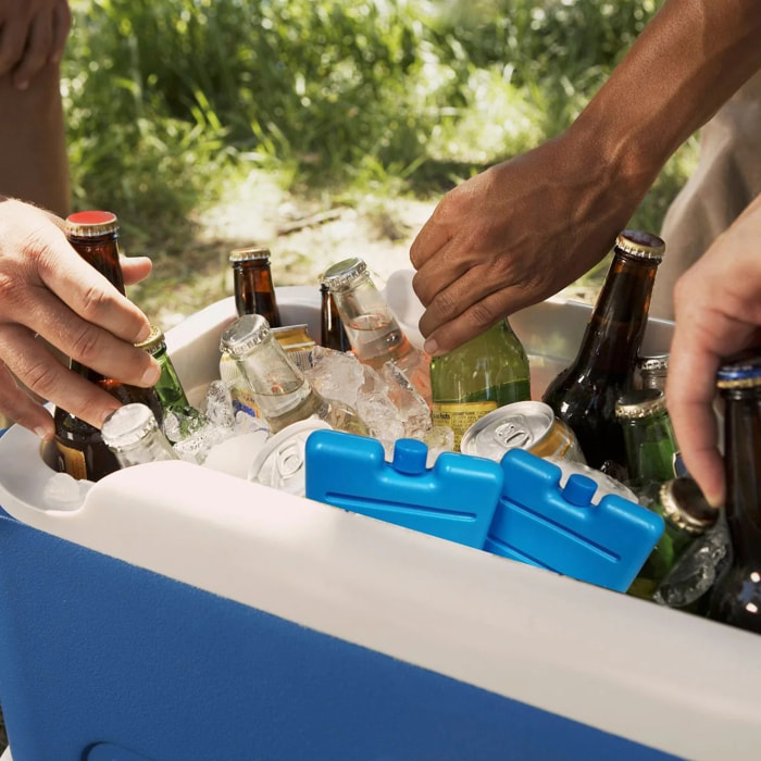 Lot de 2 pains de glace pour glacière et lunch bag Fackelmann