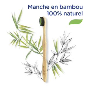 6 Brosses à dents SIGNAL Bambou Naturel Extra Souple avec des Poils Infusés au Charbon (Lot de 6)