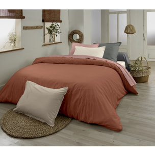 Drap plat en 100% coton biologique - Terracotta