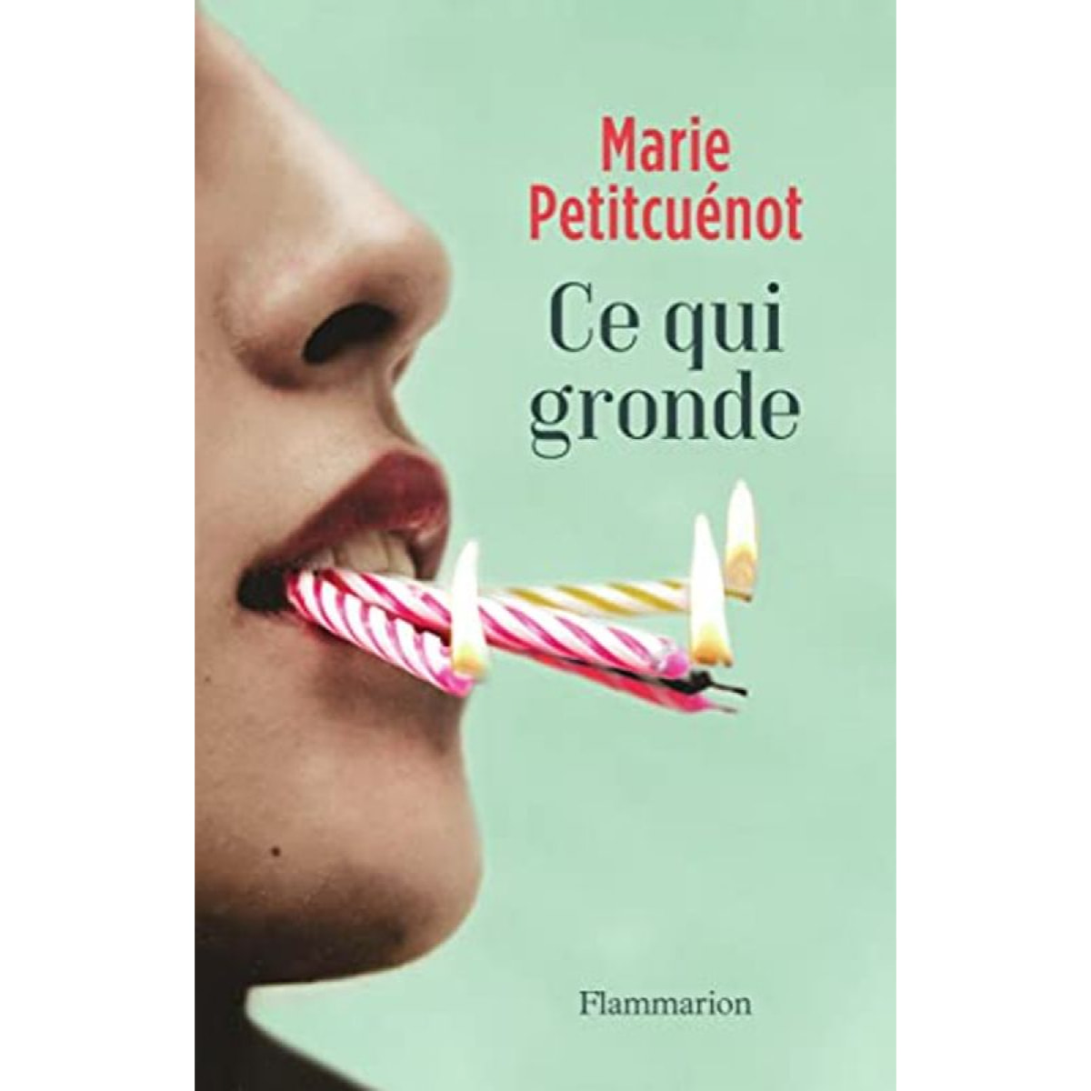 Petitcuénot, Marie | Ce qui gronde | Livre d'occasion