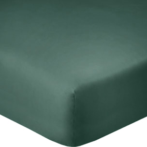 Drap housse coton bleu, canard