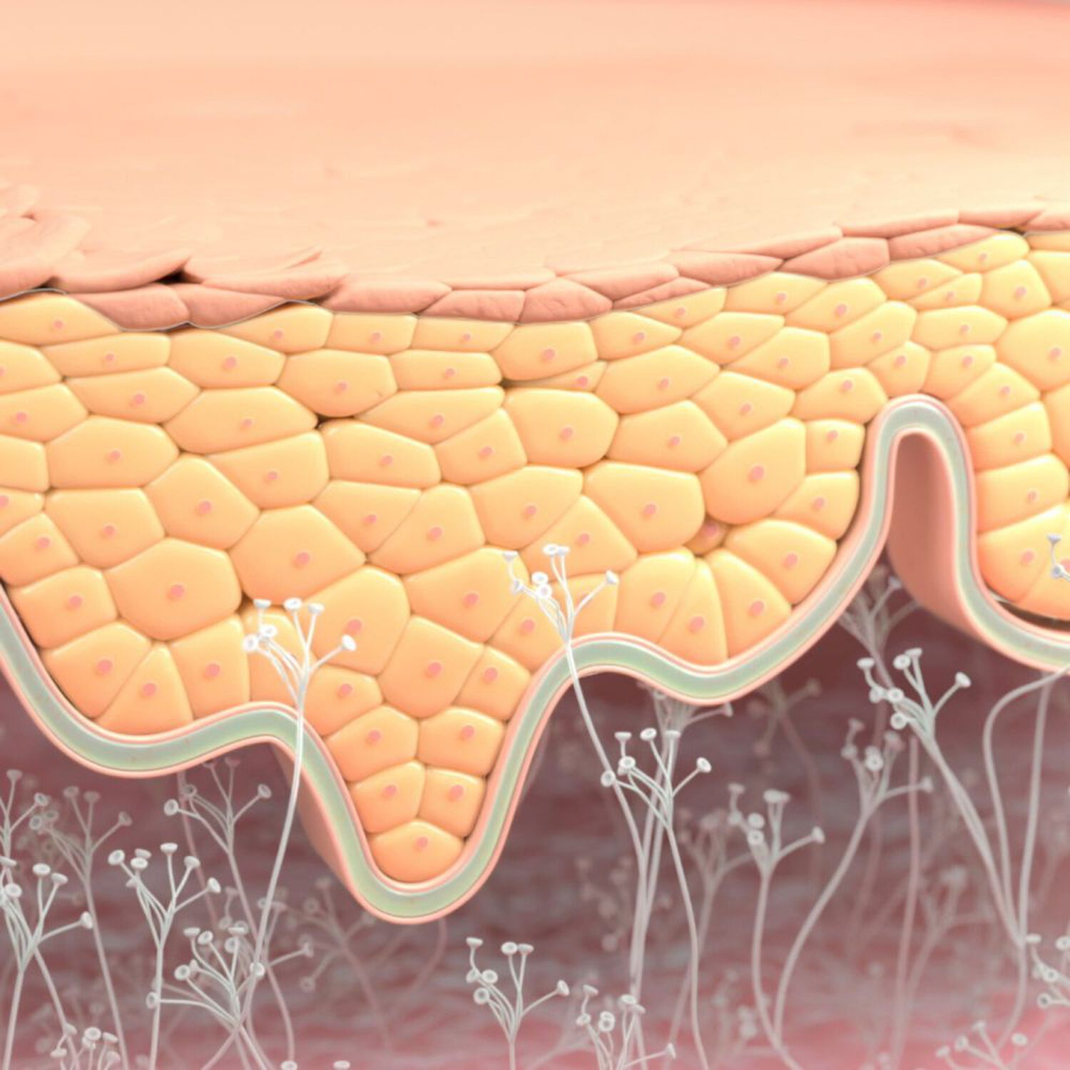 Atoderm Intensive Baume - Ultra-Apaisant Peaux Sensibles Très Sèches