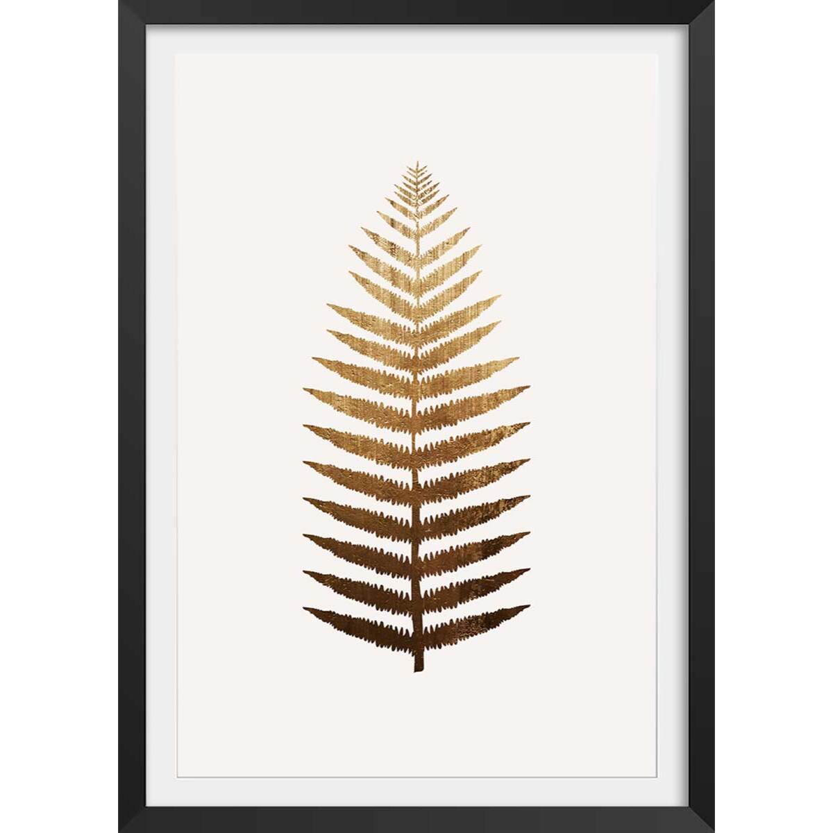 Affiche fleurs Fougere d'or Affiche + cadre en bois - Noir