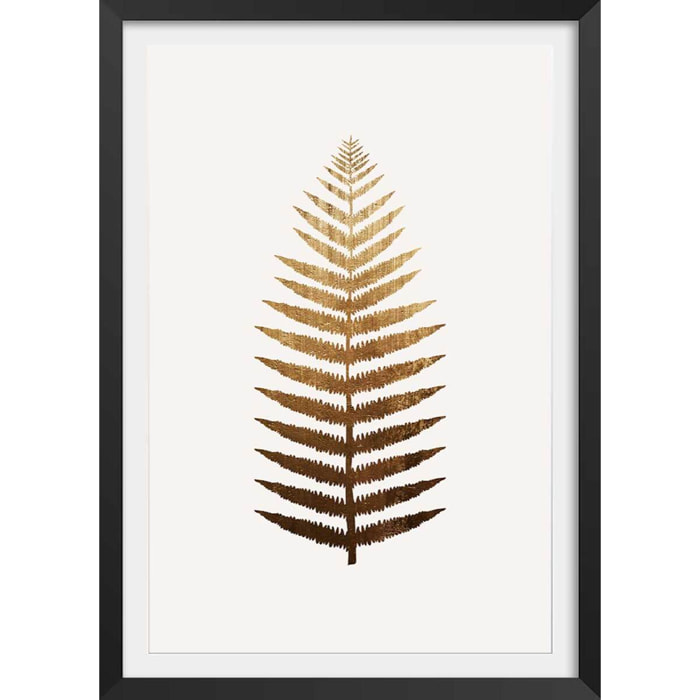 Affiche fleurs Fougere d'or Affiche + cadre en bois - Noir