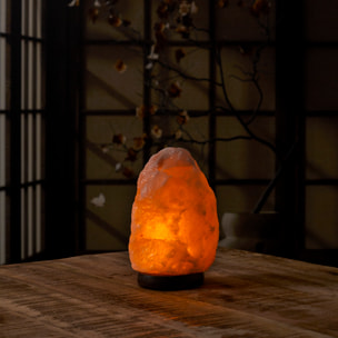 Lampe De Sel