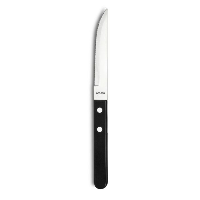 Steak Pizza 20 - Estuche de 6 cuchillos carne