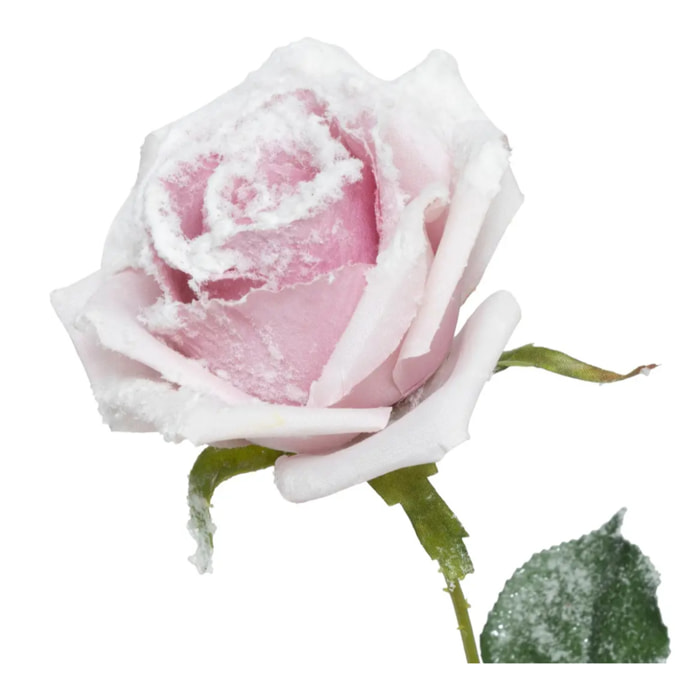 Branche rose rose enneigée H62