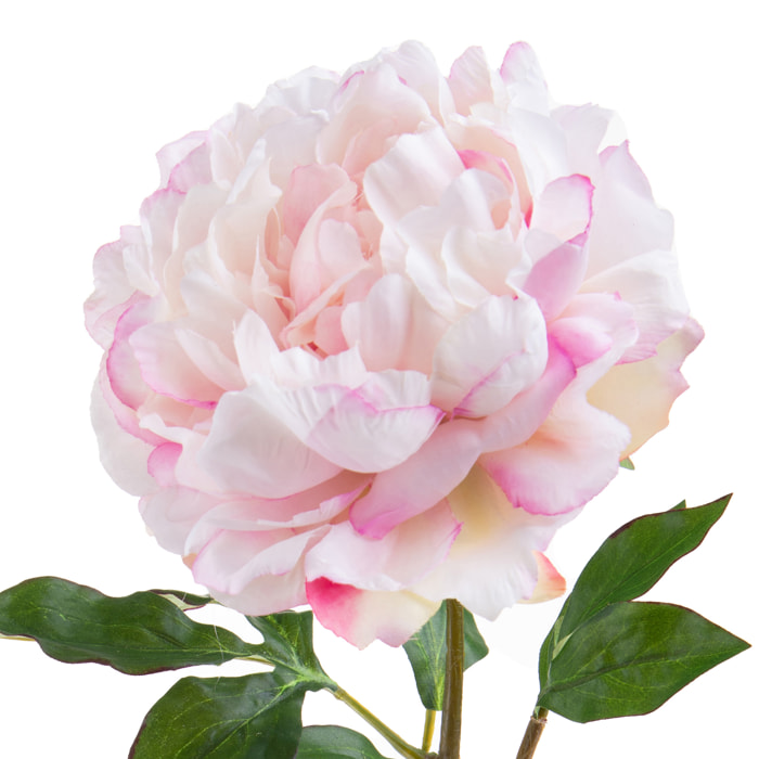 Peonia Gigante. Altezza 57 - Pezzi 4 - 20X57X18cm - Colore: Rosa  - Bianchi Dino - Fiori Artificiali