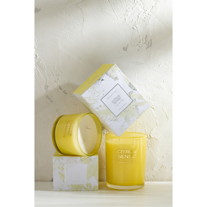 J-Line bougie parfumée Citrus Sense - Energizing Citrus - jaune - large - 70H