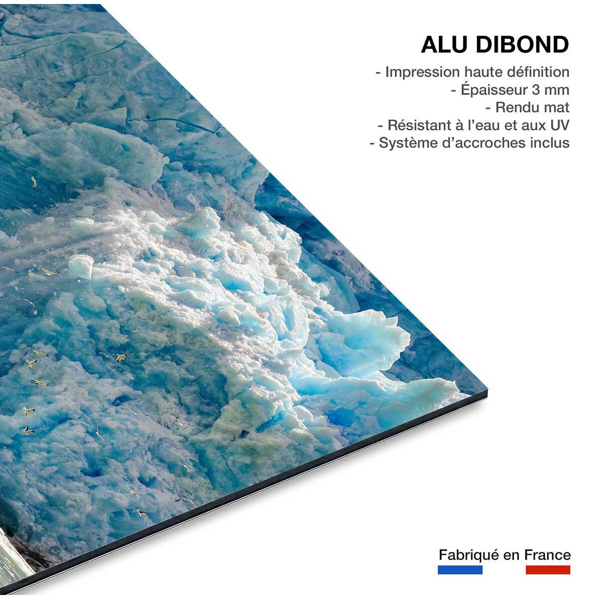 Tableau paysage iceberg Tableau alu Dibond