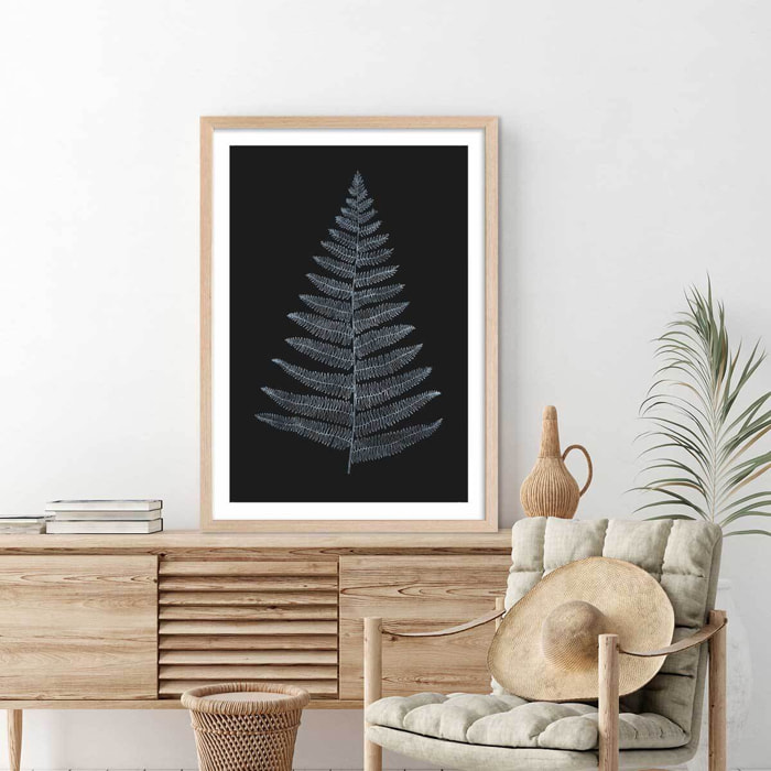 Poster fougère royale blanche Affiche + cadre en bois - Chêne