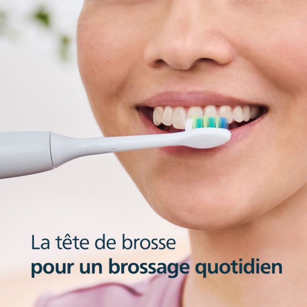 Brossette dentaire PHILIPS Sonicare lot de 6 InterCare blanc